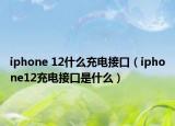 iphone 12什么充電接口（iphone12充電接口是什么）