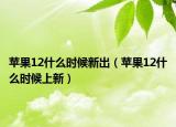 蘋果12什么時(shí)候新出（蘋果12什么時(shí)候上新）