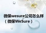微保wesure公司怎么樣（微保WeSure）
