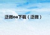泛微oa下載（泛微）