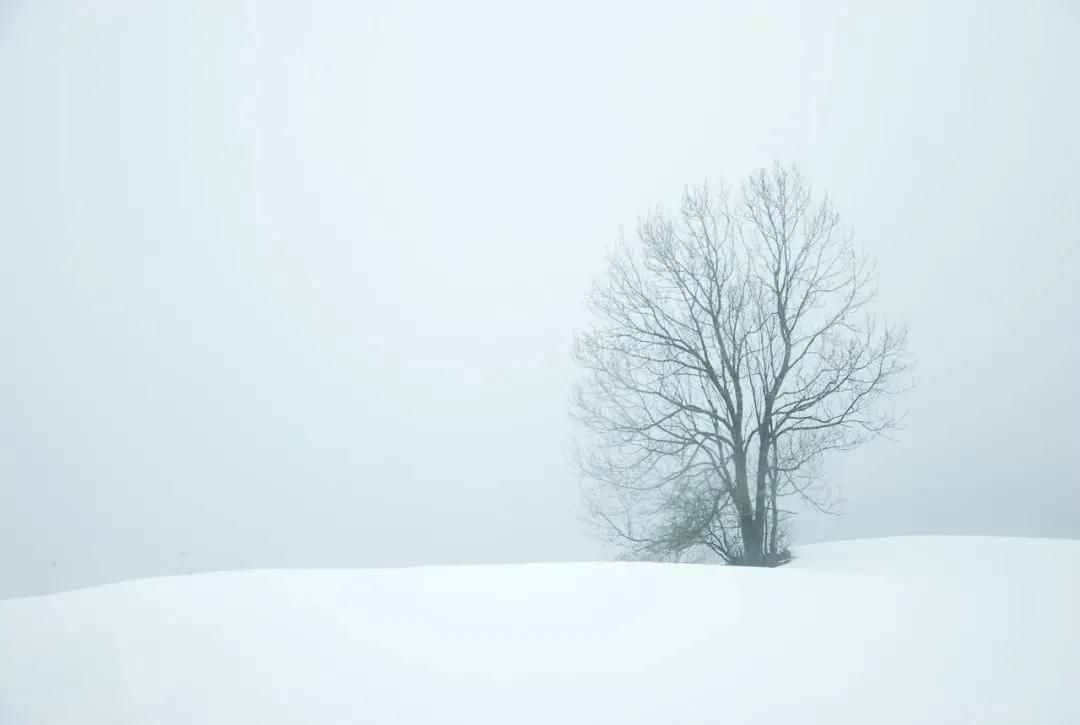 雪景拍攝技巧，教你輕松拍出雪景大片