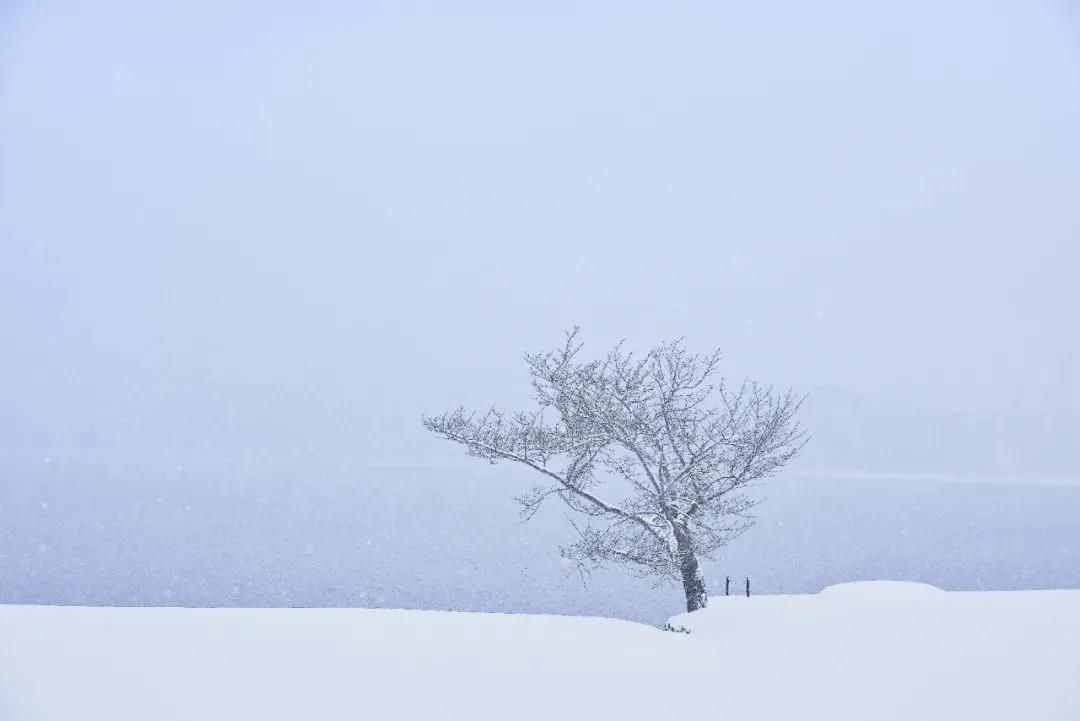 雪景拍攝技巧，教你輕松拍出雪景大片