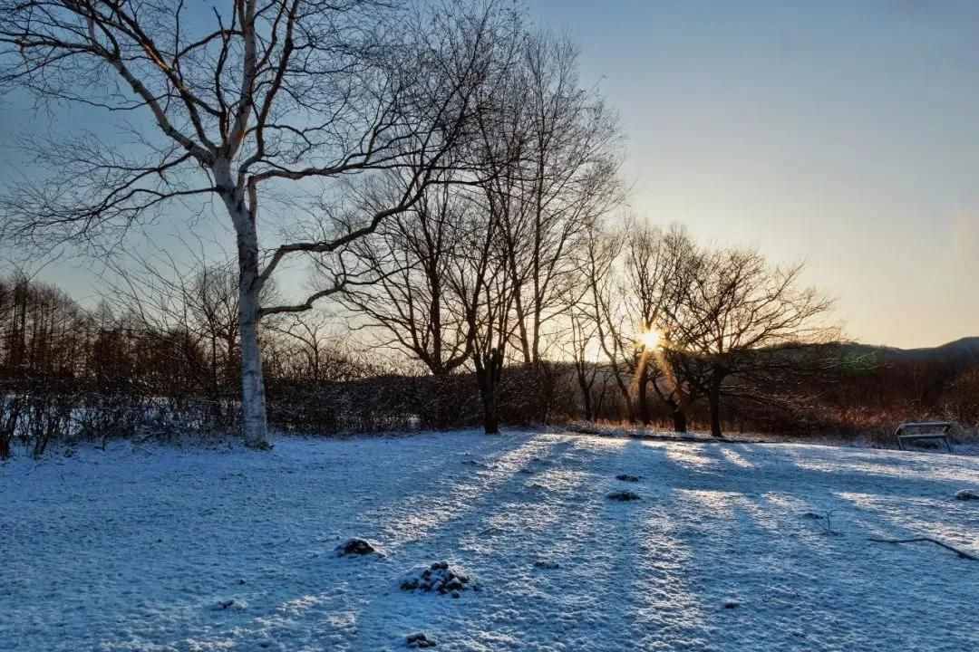 雪景拍攝技巧，教你輕松拍出雪景大片