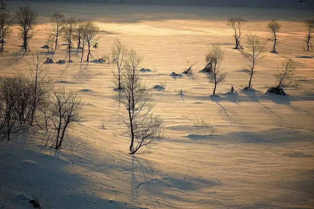 雪景拍攝技巧，教你輕松拍出雪景大片