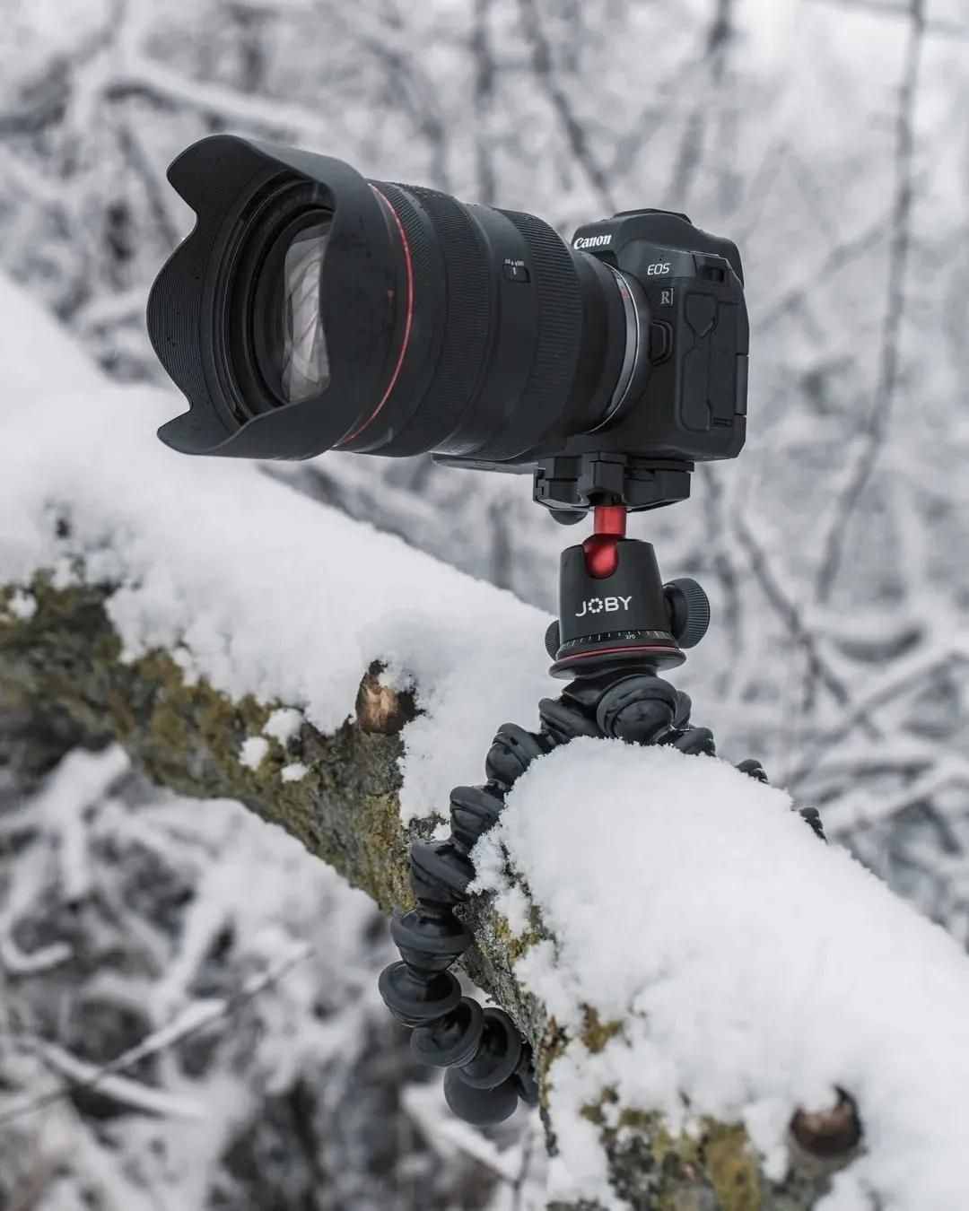 雪景拍攝技巧，教你輕松拍出雪景大片