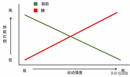 最新大數(shù)據(jù)研究證實(shí)：跑步是最有效的減肥運(yùn)動(dòng)，無(wú)論你是何種體質(zhì)