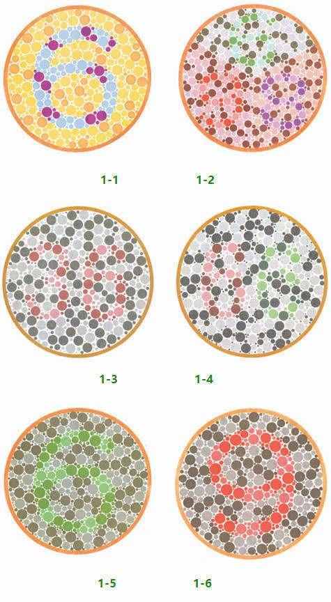 考駕照最新色彩檢測(cè)，五個(gè)盤(pán)子都能看出來(lái)嗎？老司機(jī)也可以再試試