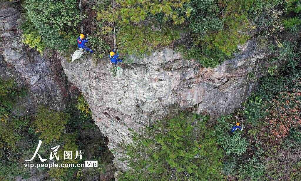 湖南張家界：行走絕壁撿垃圾 保護生態(tài)環(huán)境