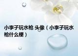 小李子玩水槍 頭像（小李子玩水槍什么梗）