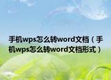 手機(jī)wps怎么轉(zhuǎn)word文檔（手機(jī)wps怎么轉(zhuǎn)word文檔形式）