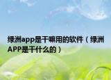綠洲app是干嘛用的軟件（綠洲APP是干什么的）