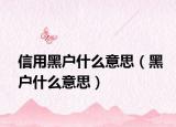信用黑戶什么意思（黑戶什么意思）