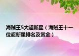 海賊王5大超新星（海賊王十一位超新星排名及賞金）