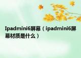 Ipadmini6屏幕（ipadmini6屏幕材質(zhì)是什么）