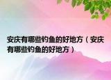 安慶有哪些釣魚的好地方（安慶有哪些釣魚的好地方）