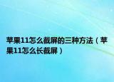 蘋果11怎么截屏的三種方法（蘋果11怎么長截屏）