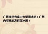 廣州哪里有室內(nèi)大型溜冰場（廣州內(nèi)哪些地方有溜冰場）