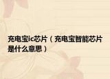 充電寶ic芯片（充電寶智能芯片是什么意思）