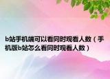 b站手機端可以看同時觀看人數(shù)（手機版b站怎么看同時觀看人數(shù)）