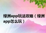 綠洲app玩法攻略（綠洲app怎么玩）