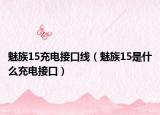 魅族15充電接口線（魅族15是什么充電接口）