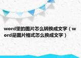 word里的圖片怎么轉換成文字（word是圖片格式怎么換成文字）