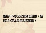 魅族16x怎么設置動態(tài)壁紙（魅族16s怎么設置動態(tài)壁紙）