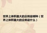 世界上體積最大的企鵝是哪種（世界上體積最大的企鵝是什么）