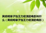 黃曉明章子怡王力宏演的電影叫什么（黃曉明章子怡王力宏演的電影）