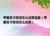 蘋果雙卡雙待怎么設置流量（蘋果雙卡雙待怎么設置）