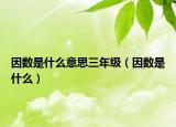 因數(shù)是什么意思三年級（因數(shù)是什么）