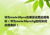 華為mate30pro在哪里設(shè)置應(yīng)用角標(biāo)（華為mate30pro5g如何關(guān)閉應(yīng)用角標(biāo)）