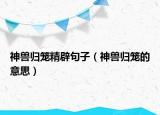 神獸歸籠精辟句子（神獸歸籠的意思）