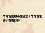 華為智能助手在哪里（華為智能助手在哪打開）