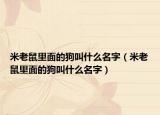 米老鼠里面的狗叫什么名字（米老鼠里面的狗叫什么名字）