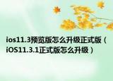 ios11.3預覽版怎么升級正式版（iOS11.3.1正式版怎么升級）