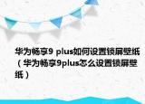 華為暢享9 plus如何設(shè)置鎖屏壁紙（華為暢享9plus怎么設(shè)置鎖屏壁紙）