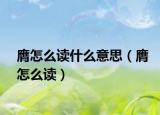 膺怎么讀什么意思（膺怎么讀）