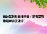 萌娃駕到甜寵神秘妻（萌寶駕到隱婚嬌妻放肆撩）