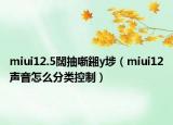 miui12.5闊抽噺鎺у埗（miui12聲音怎么分類控制）