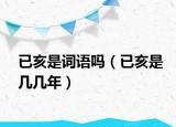 已亥是詞語嗎（已亥是幾幾年）