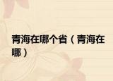青海在哪個?。ㄇ嗪Ｔ谀模? /></span></a>
                        <h2><a href=