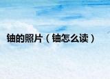 鈾的照片（鈾怎么讀）