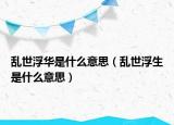 亂世浮華是什么意思（亂世浮生是什么意思）
