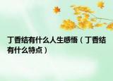 丁香結(jié)有什么人生感悟（丁香結(jié)有什么特點(diǎn)）