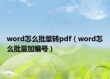 word怎么批量轉(zhuǎn)pdf（word怎么批量加編號(hào)）