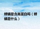 蟬蛹是含高蛋白嗎（蟬蛹是什么）