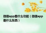 微信app是什么功能（微信app是什么東西）