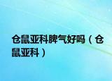 倉鼠亞科脾氣好嗎（倉鼠亞科）