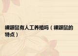 裸鼴鼠有人工養(yǎng)殖嗎（裸鼴鼠的特點(diǎn)）